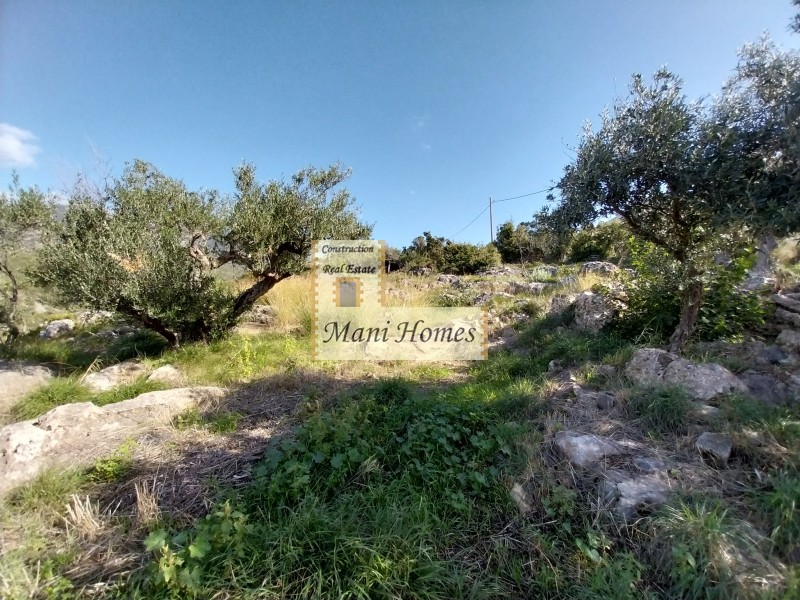 Οικόπεδο 1.585 τ.μ. πρός πώληση, Μεσσηνία, Λεύκτρος