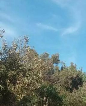 Land plot 5.500sqm for sale-Santorini » Thira