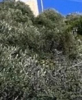 Land plot 671sqm for sale-Alimos » Center