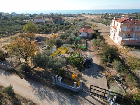 Αγροτεμάχια 900τ.μ. για πώληση-Αλεξανδρούπολη » Νέα χιλή