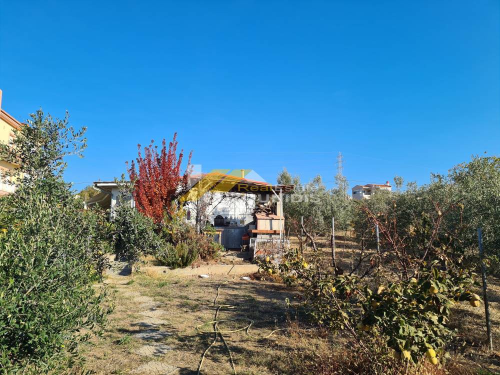 Αγροτεμάχια 900 τ.μ. προς πώληση, Εβρος, Αλεξανδρούπολη