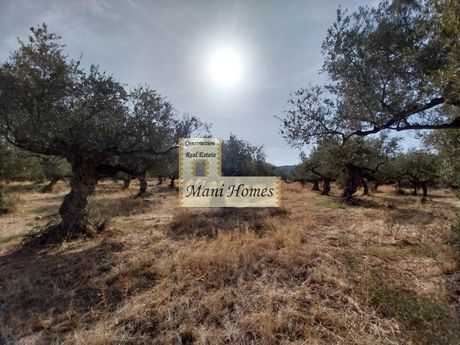 Οικόπεδο 2.200 τ.μ. για πώληση