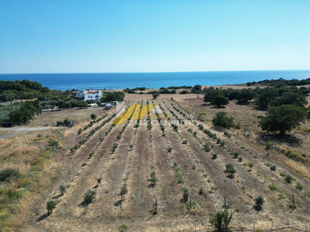 Αγροτεμάχια 7.100 τ.μ. πρός πώληση, Εβρος, Σαμοθράκη