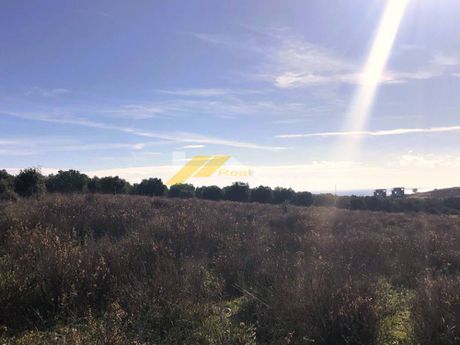 Parcel 4.000sqm for sale-Alexandroupoli » Nea Chili