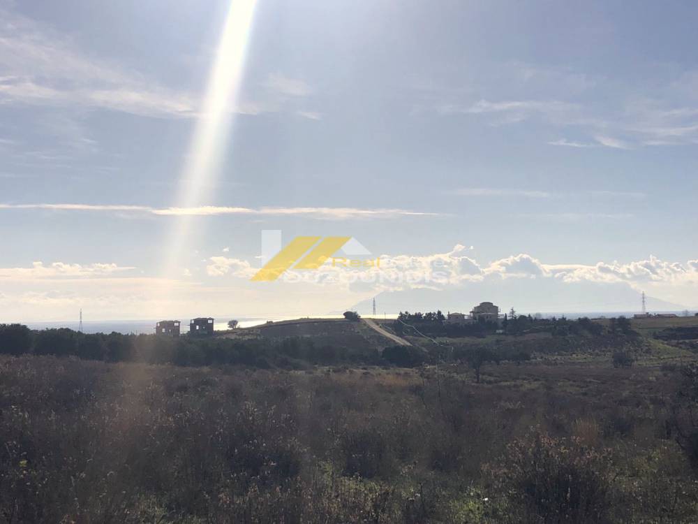 Αγροτεμάχια 4.000 τ.μ. προς πώληση, Νέα Χιλή