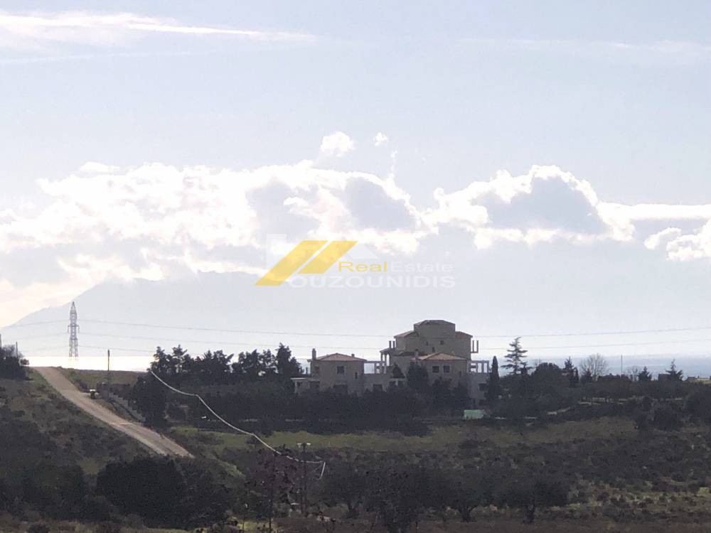 Αγροτεμάχια 4.000 τ.μ. προς πώληση, Νέα Χιλή
