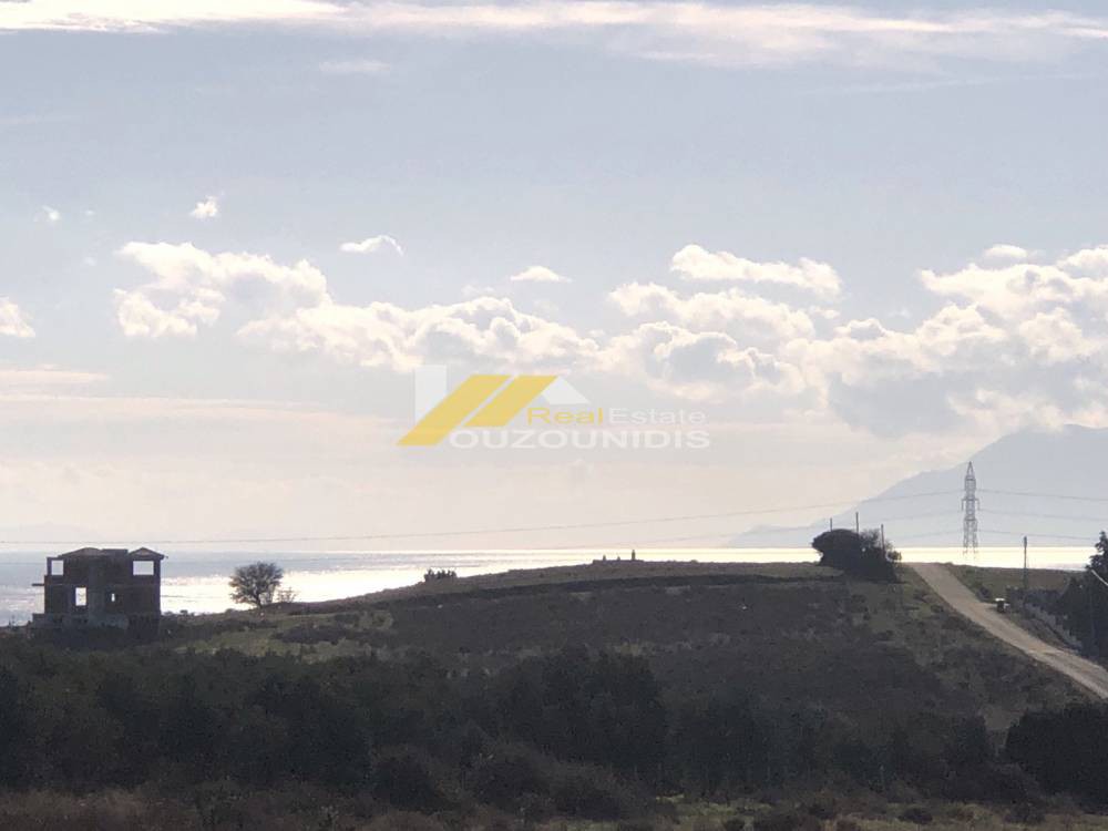 Αγροτεμάχια 4.000 τ.μ. προς πώληση, Νέα Χιλή