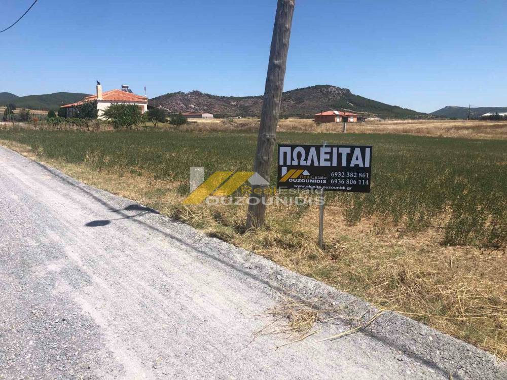 Αγροτεμάχια 2.500 τ.μ. προς πώληση, Αρίστηνο