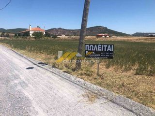 Αγροτεμάχια 2.500 τ.μ. για πώληση