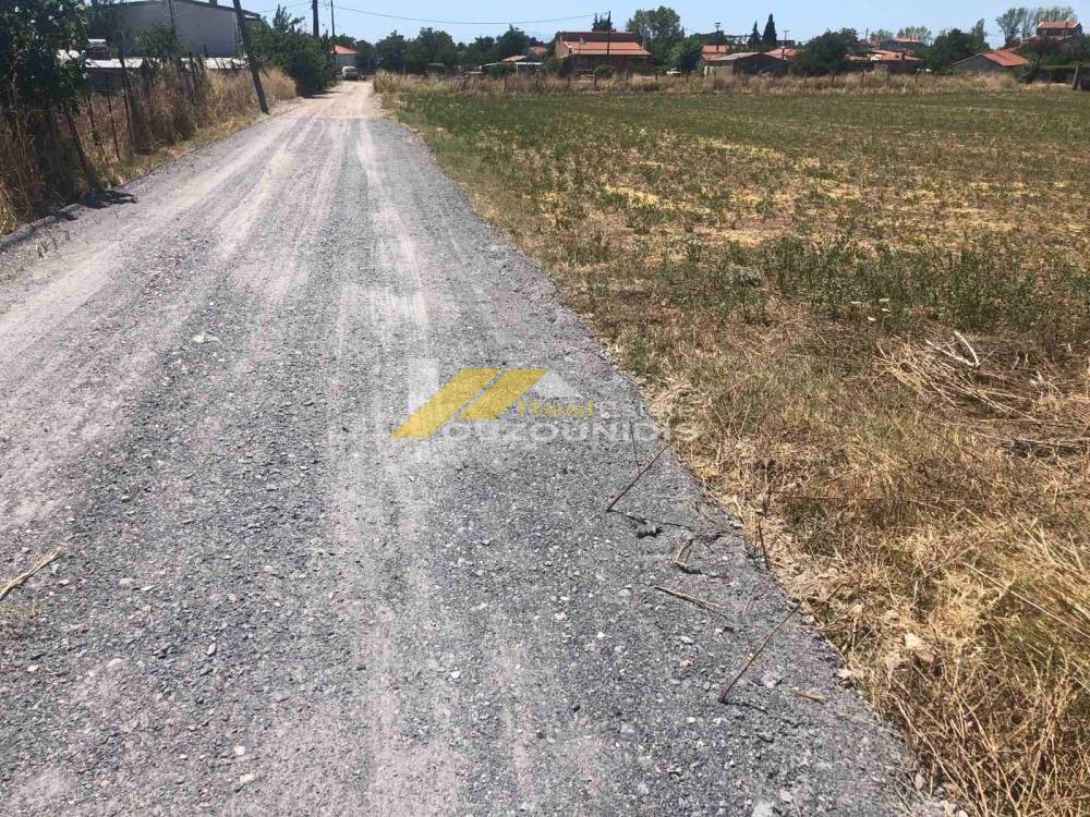 Αγροτεμάχια 2.500 τ.μ. προς πώληση, Αρίστηνο