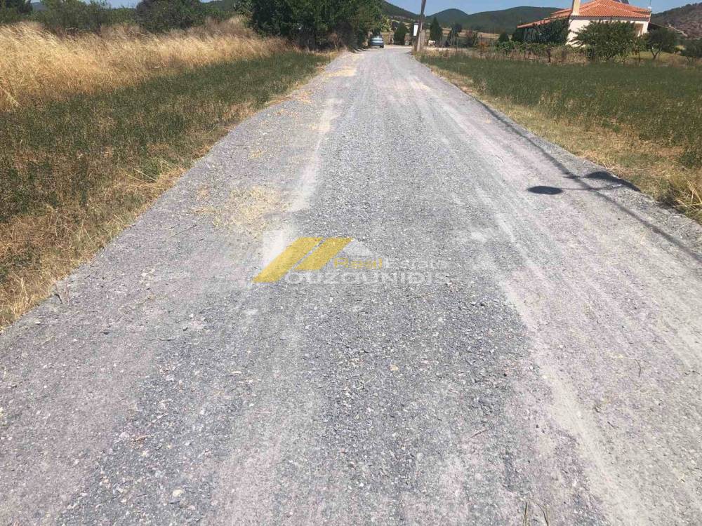Αγροτεμάχια 2.500 τ.μ. προς πώληση, Αρίστηνο