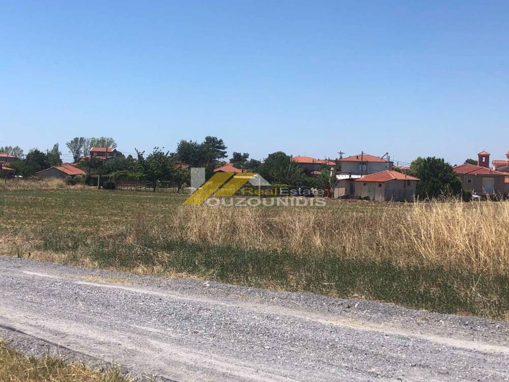 Αγροτεμάχια 2.500 τ.μ. προς πώληση, Αρίστηνο