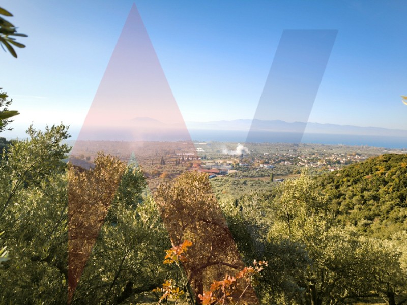 Αγροτεμάχια 2.800 τ.μ. πρός πώληση, Μαγνησία, Αρτέμιδα