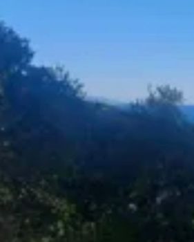 Land plot 7.700sqm for sale-Kefalonia » Erissos