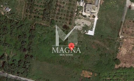Αγροτεμάχια 4.002τ.μ. για πώληση-Πρέβεζα » Ψαθάκι