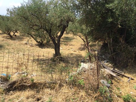 Land plot 188sqm for sale-Lefktros » Nomitsis