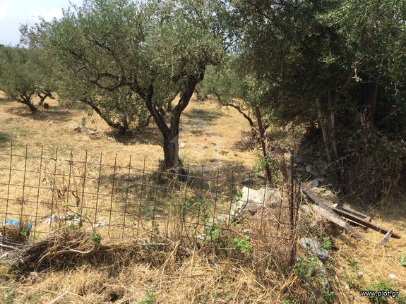 Οικόπεδο 188 τ.μ. για πώληση, Μεσσηνία, Λεύκτρος