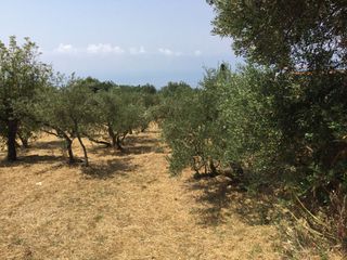 Οικόπεδο 188 τ.μ. για πώληση, Μεσσηνία, Λεύκτρος-thumb-2