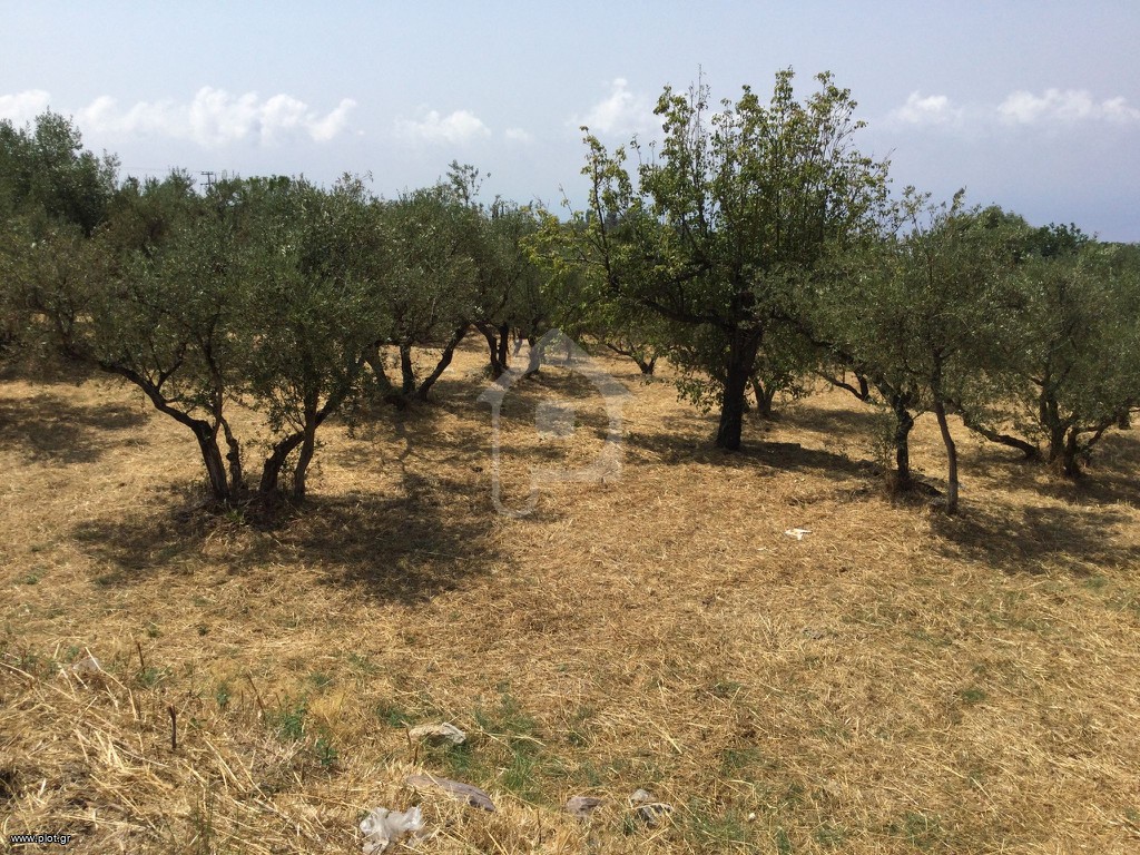 Land plot 188 sqm for sale, Messinia, Lefktros