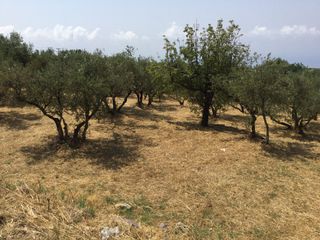 Οικόπεδο 188 τ.μ. για πώληση, Μεσσηνία, Λεύκτρος-thumb-3