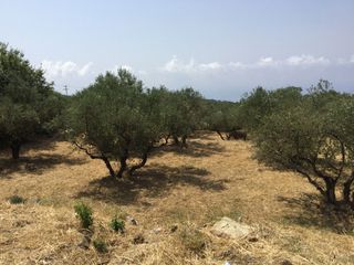 Οικόπεδο 188 τ.μ. για πώληση, Μεσσηνία, Λεύκτρος-thumb-5