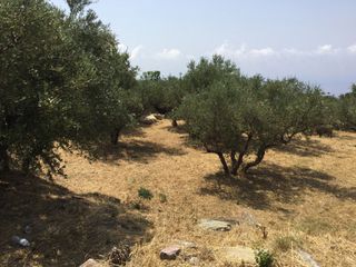 Οικόπεδο 188 τ.μ. για πώληση, Μεσσηνία, Λεύκτρος-thumb-6
