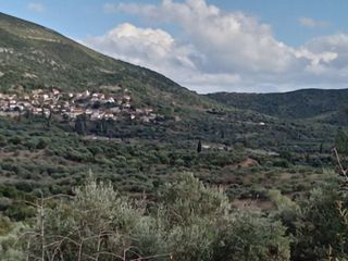 Parcel 3.250 sqm for sale, Messinia, Ithomi-thumb-9