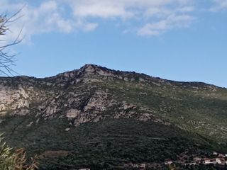 Parcel 3.250 sqm for sale, Messinia, Ithomi-thumb-10