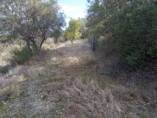 Parcel 3.250 sqm for sale, Messinia, Ithomi-thumb-12
