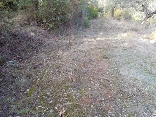 Parcel 3.250 sqm for sale, Messinia, Ithomi-thumb-13