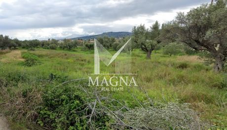 Οικόπεδο 1.010τ.μ. για πώληση-Αιγιάλεια » Λόγγος