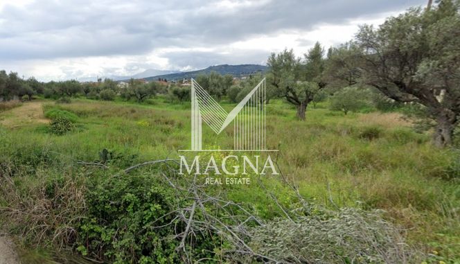 Land plot 1.010 sqm for sale, Achaia, Egialia