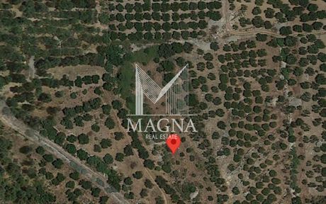 Αγροτεμάχια 3.634τ.μ. για πώληση-Αρχάνες » Επάνω αρχάνες