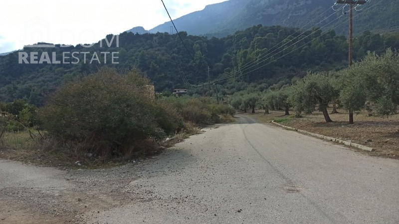 Οικόπεδο 2.335 τ.μ. πρός πώληση, Φθιώτιδας, Άγιος Κωνσταντίνος