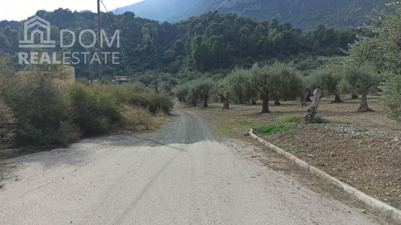 Οικόπεδο 2.335 τ.μ. πρός πώληση, Φθιώτιδας, Άγιος Κωνσταντίνος