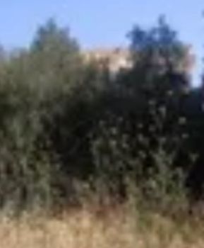 Land plot 422sqm for sale-Ilioupoli » Astinomika