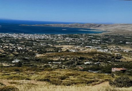 Αγροτεμάχια 16.157 τ.μ. για πώληση