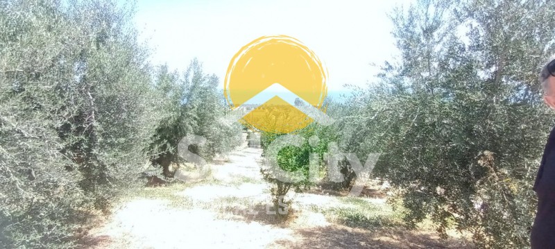 Μονοκατοικία 71 τ.μ. προς πώληση, Κορινθία, Ξυλόκαστρο
