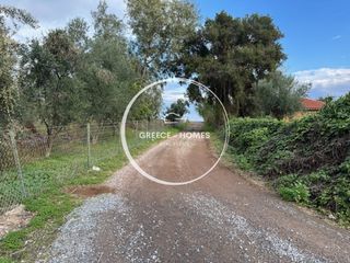 Οικόπεδο 4.200 τ.μ. για πώληση, Μεσσηνία, Πεταλίδι-thumb-3