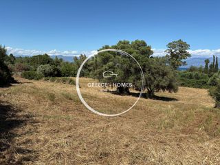 Οικόπεδο 4.200 τ.μ. για πώληση, Μεσσηνία, Πεταλίδι-thumb-6