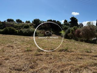 Οικόπεδο 4.200 τ.μ. για πώληση, Μεσσηνία, Πεταλίδι-thumb-4