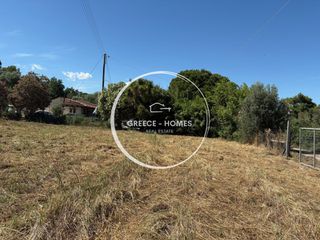 Οικόπεδο 4.200 τ.μ. για πώληση, Μεσσηνία, Πεταλίδι-thumb-5