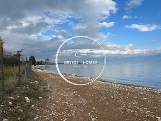 Οικόπεδο 4.200 τ.μ. για πώληση, Μεσσηνία, Πεταλίδι-thumb-1