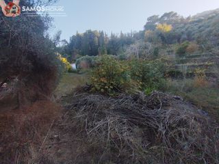 Οικόπεδο 1.663 τ.μ. για πώληση, Ν. Σάμου, Σάμος-thumb-6