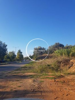 Αγροτεμάχια 3.013τ.μ. για ενοικίαση-Καλαμάτα » Ασπρόχωμα