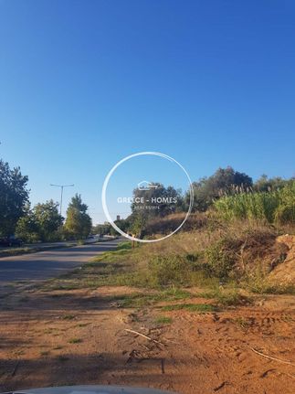Αγροτεμάχια 3.013 τ.μ. για ενοικίαση, Μεσσηνία, Καλαμάτα