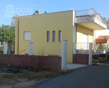 Μονοκατοικία 317τ.μ. για πώληση-Δυτικής αχαΐας » Κάτω αχαΐα