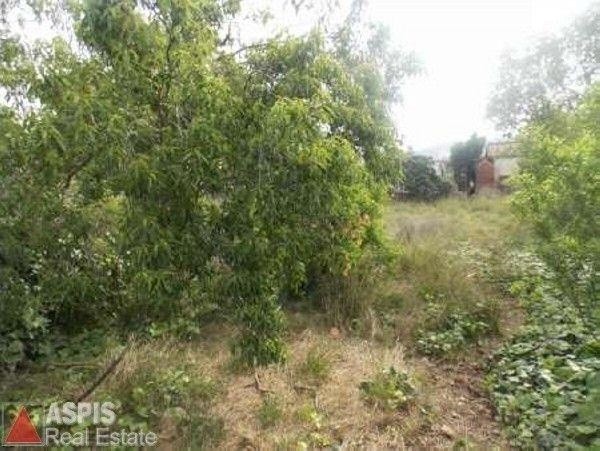 Αγροτεμάχια 375 τ.μ. προς πώληση, Χέρωμα