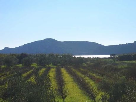 Land plot 4.095sqm for sale-Nestoras » Romanos
