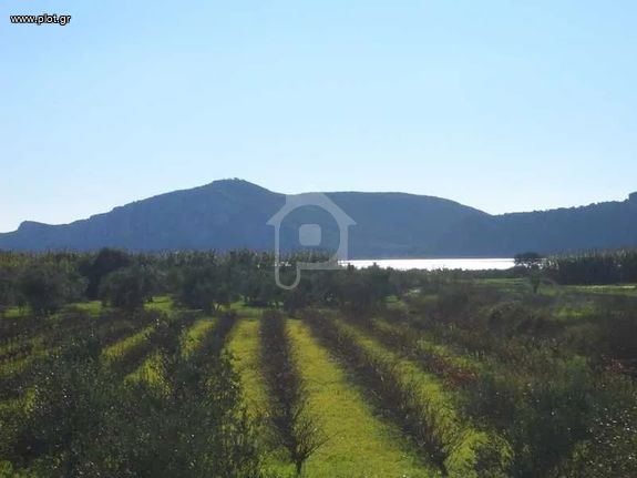 Land plot 4.095 sqm for sale, Messinia, Nestoras